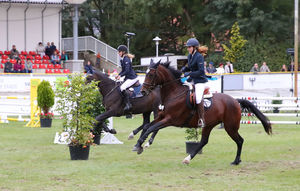 Zweikampfspringen, Foto: ACP Fotografie Pantel